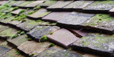Woodlinkin roof repair costs